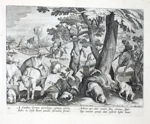 Hunde verfolgen Hirsche nach Geruch, einer springt vor Schreck und verfängt sich mit seinen Geweihen in den hohen Ästen eines Baumes, Illustration aus 